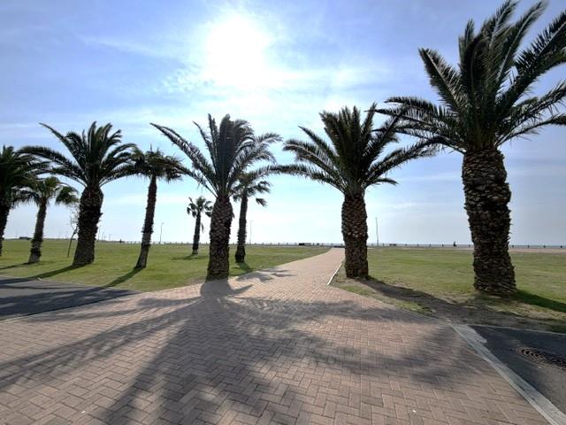 To Let 2 Bedroom Property for Rent in Mouille Point Western Cape